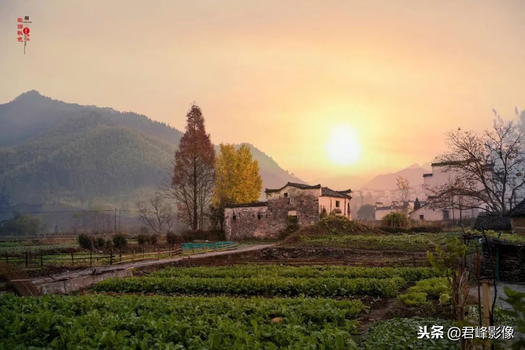 2018年那些感动瞬间,2018那些感动的视频