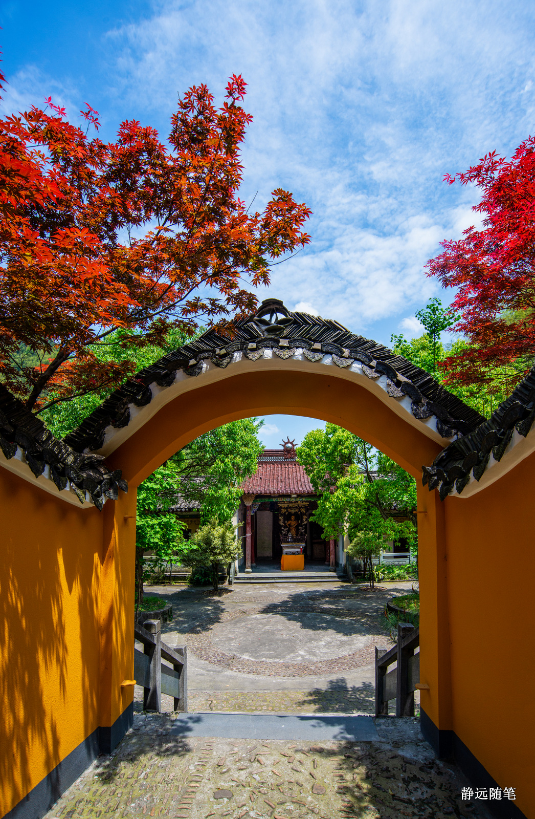 浙江富阳上官球拍有限公司,富阳上官乒乓球拍厂