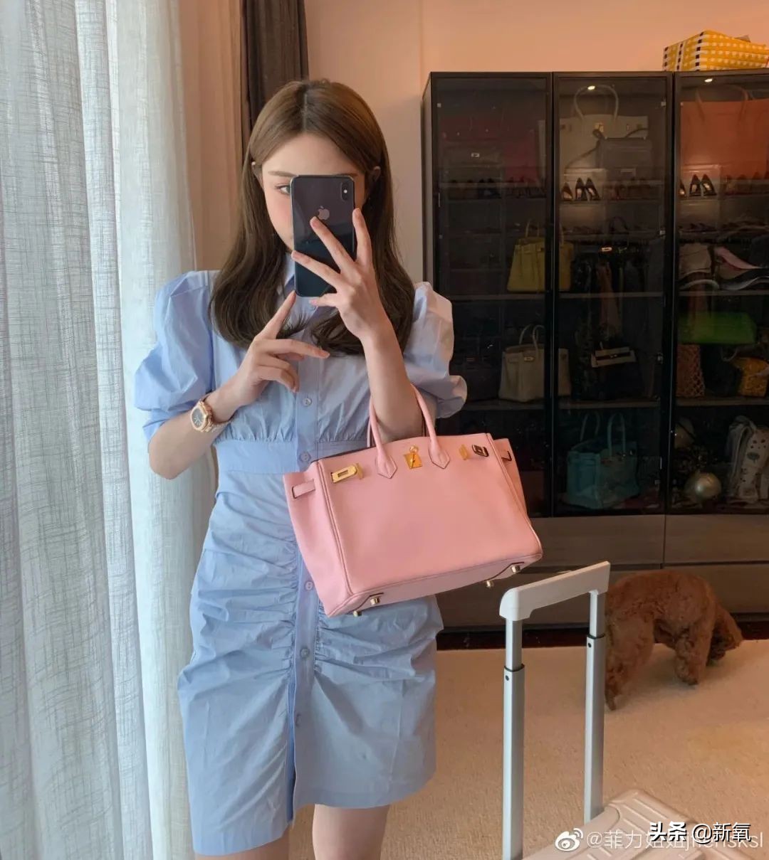 抄袭正牌总裁夫人的MiuMiu，张大奕最新暗戳戳挑衅的文案也太够了