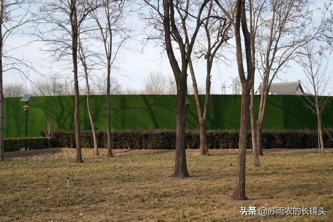 京城闹市寻幽（89）：春节假期中萧瑟的古塔公园