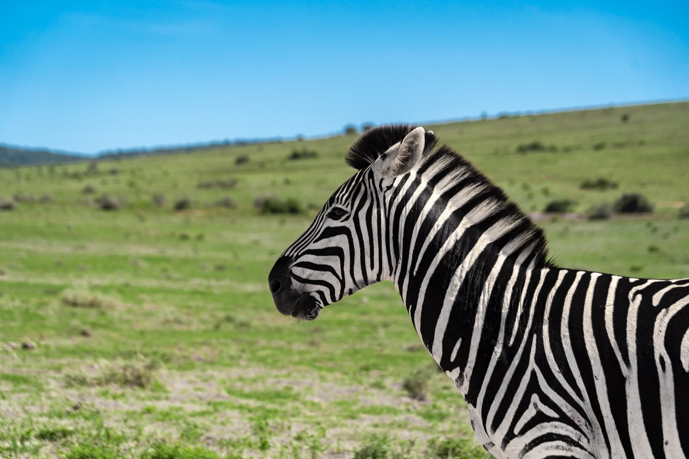 南非自驾游,南非自驾游最新