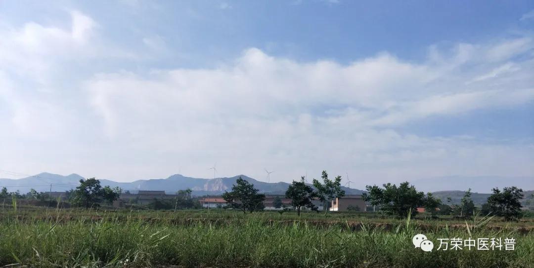 跟我回家在线免费看,跟我回家免费看