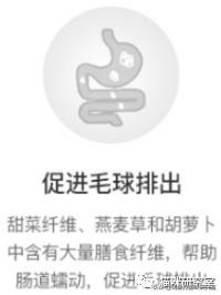 网易严选全价成猫粮测评,网易严选成猫粮和全价猫粮