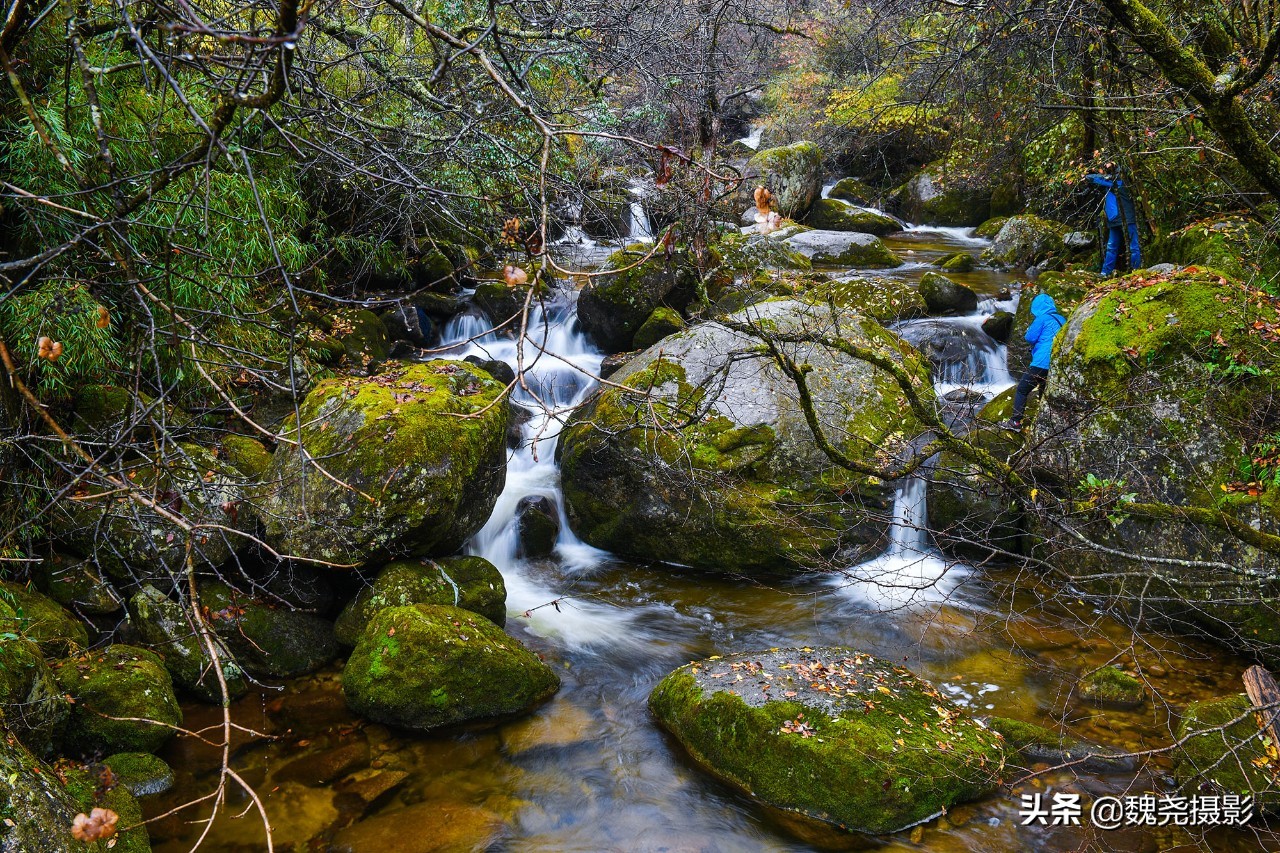 留坝秦岭之夜,留坝秦岭森林公园