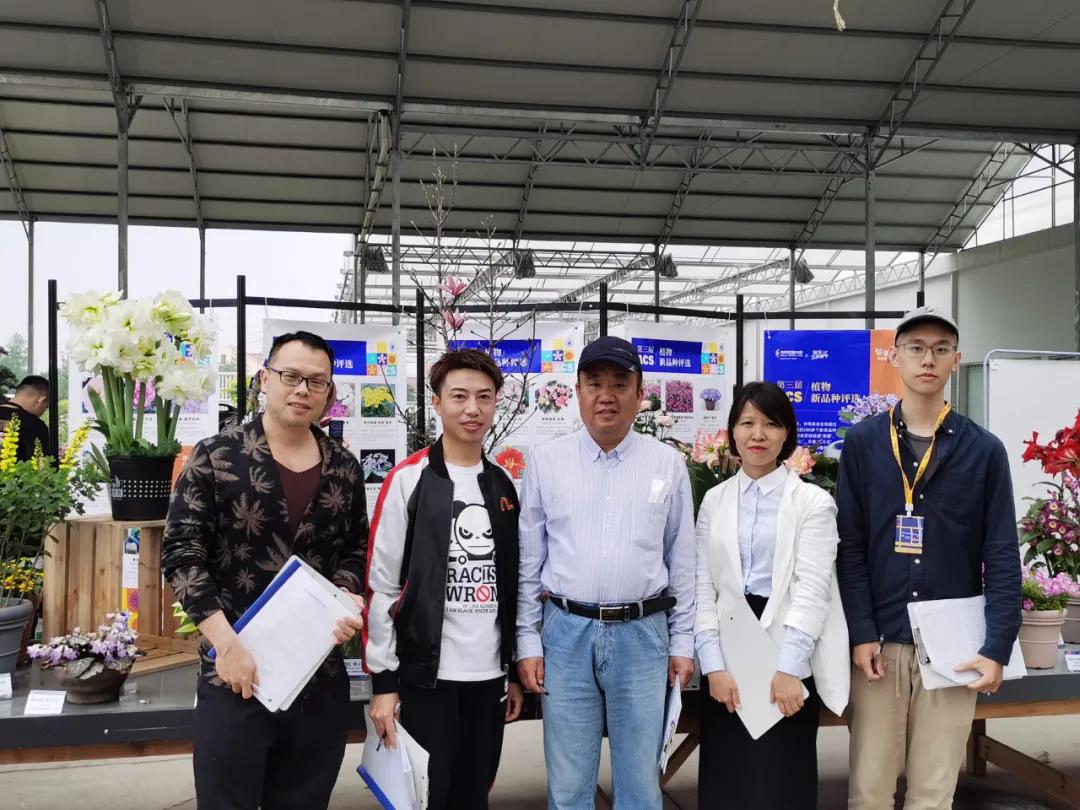 这43个来自世界各地的新品种,快来看看有没有你的菜