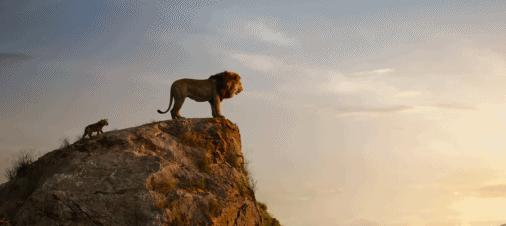 狮子王到底返不返场,狮子王口碑