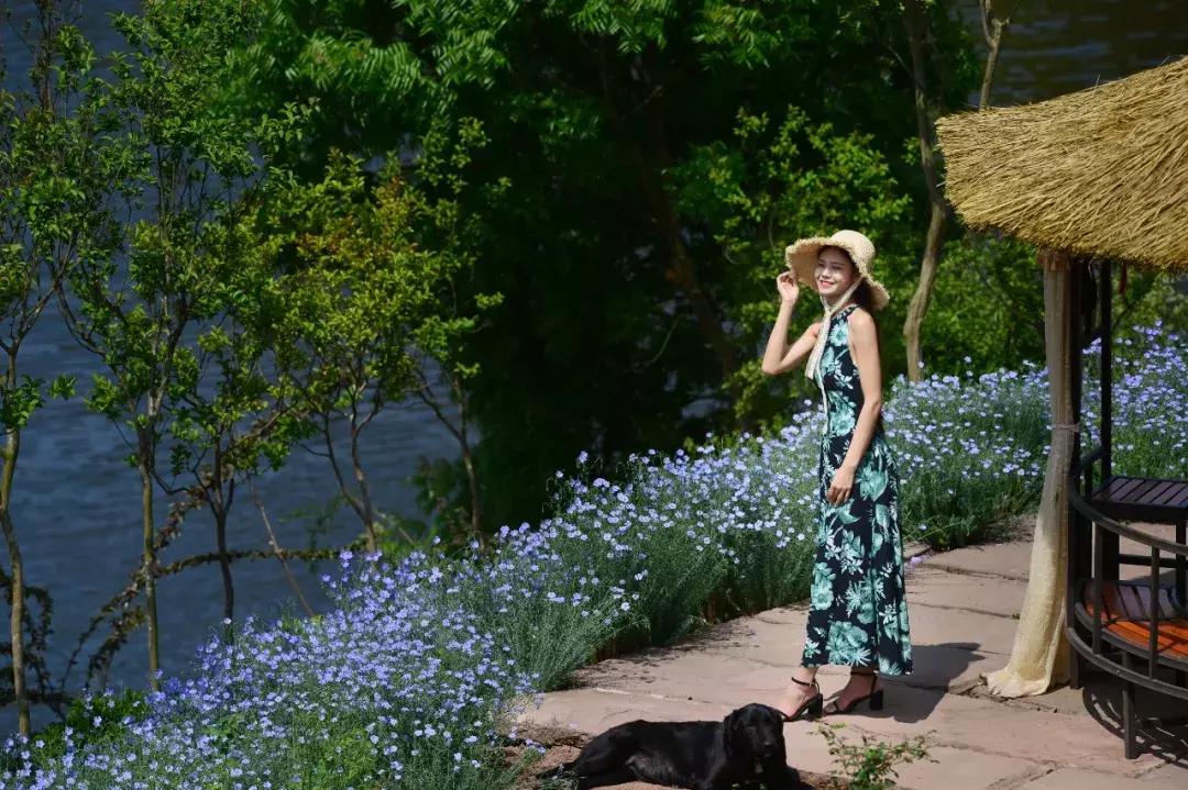 国庆7天去哪玩成都,国庆七天长假去哪里玩