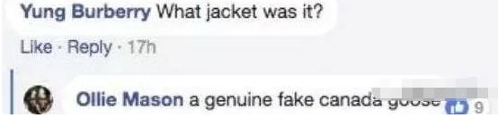 加拿大鹅街头被抢,加拿大鹅10天被抢七次