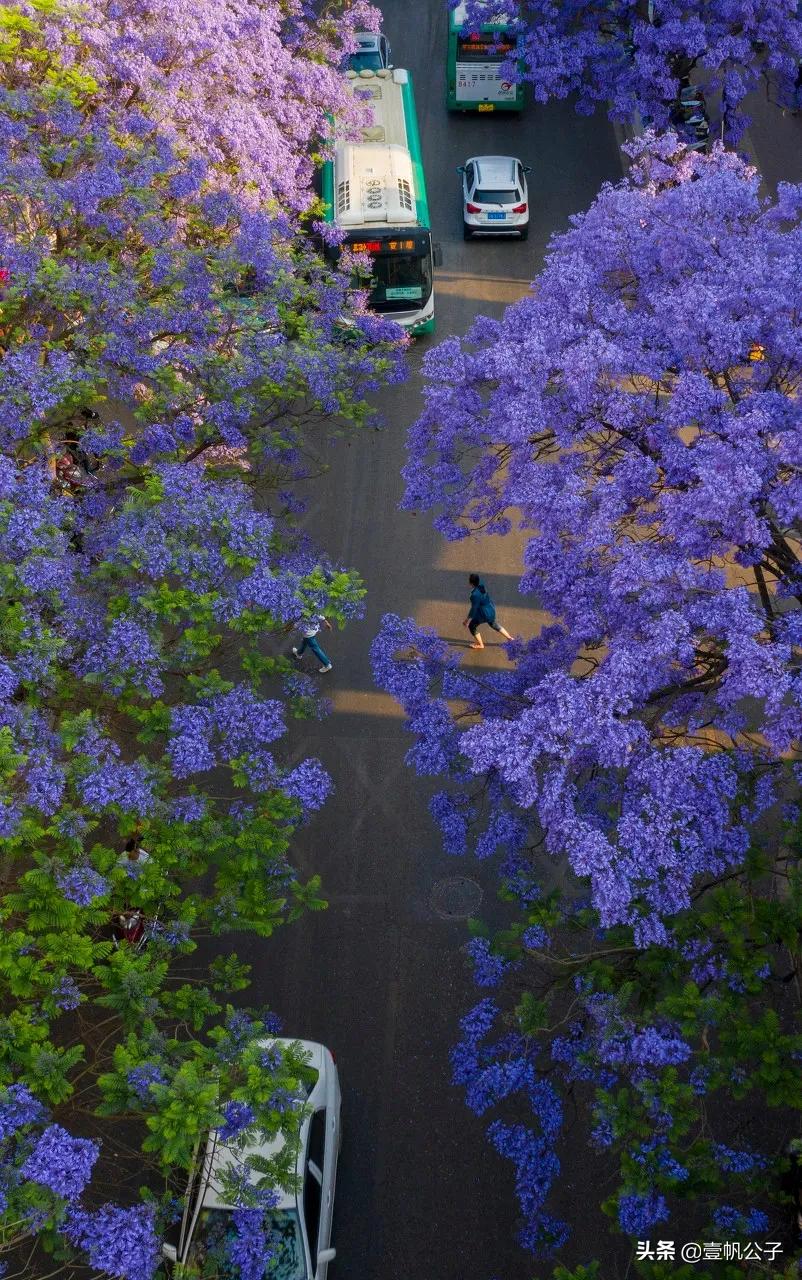 被大理的美景所折服,被丽江的风景美到了