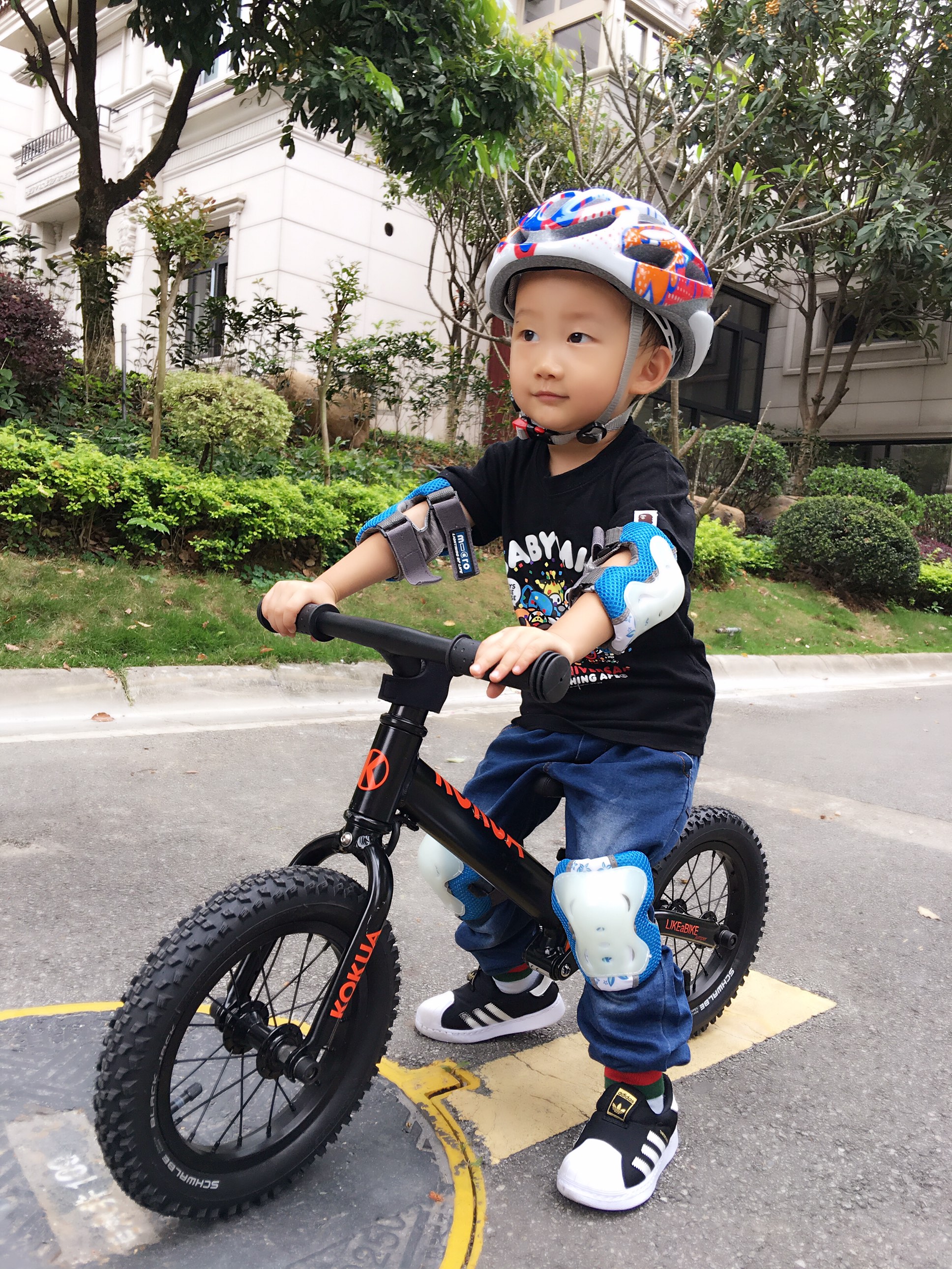 儿童平衡车bike8和kokua对比 (儿童平衡车striderkokua)