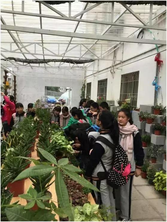 福州杨桥中学排名,福州杨桥中学好还是十八中好