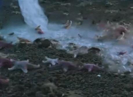 自然奇观死亡冰柱,每天了解一种地形