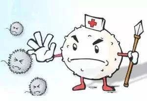 辟谣：猫咪白细胞升高就要使用消炎药？不，谨防滥用抗生素