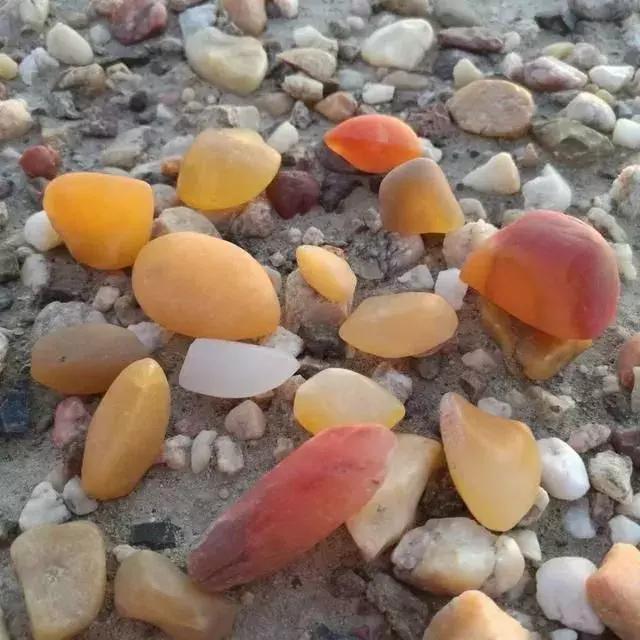 快来围观石英家族，颜值爆表