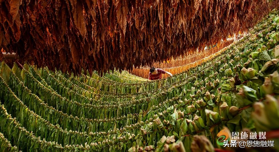 李伦英:用镜头记录家乡的美丽