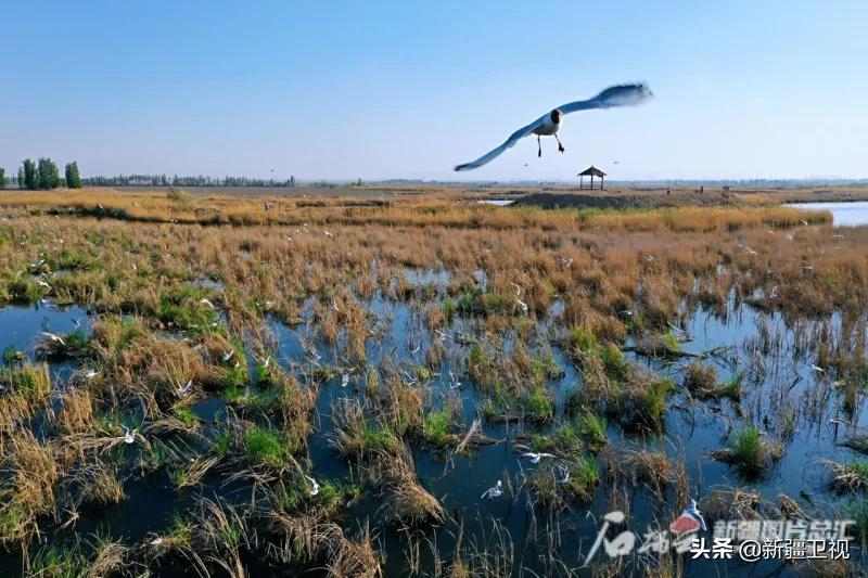 快上车视频全集,快上车完整版视频