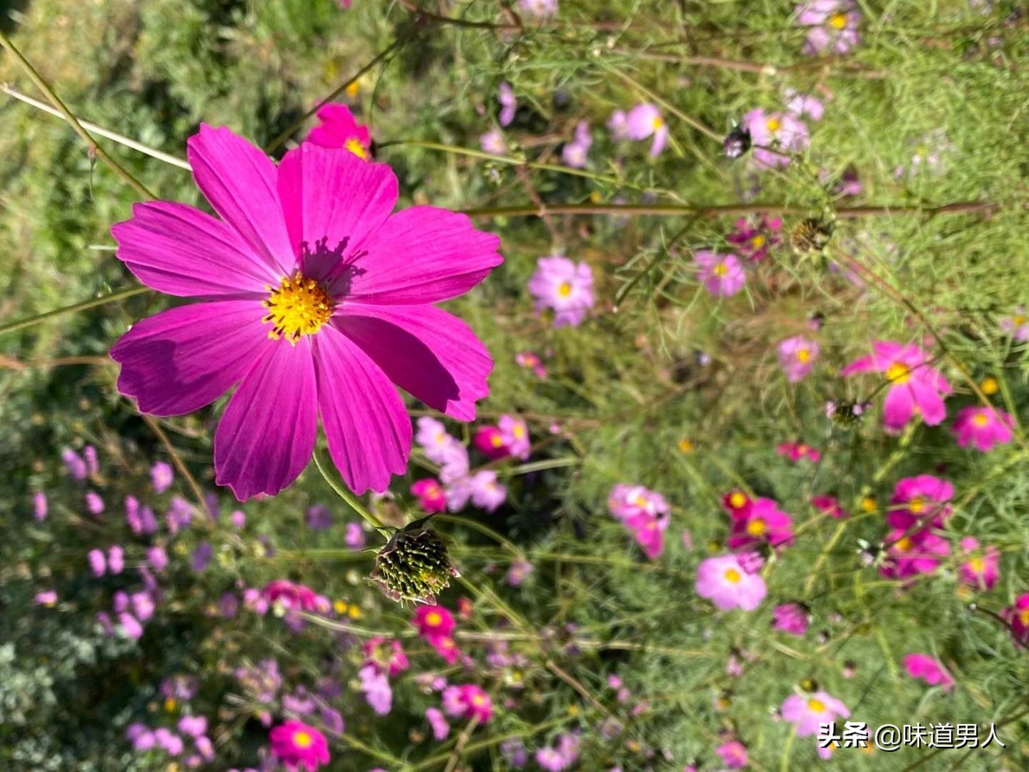 孩子进入大学后家长应该怎么做,孩子在学校说想家了怎么回答