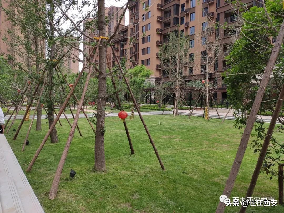 招商依云郡业主真实感受,招商依云曲江为啥难卖