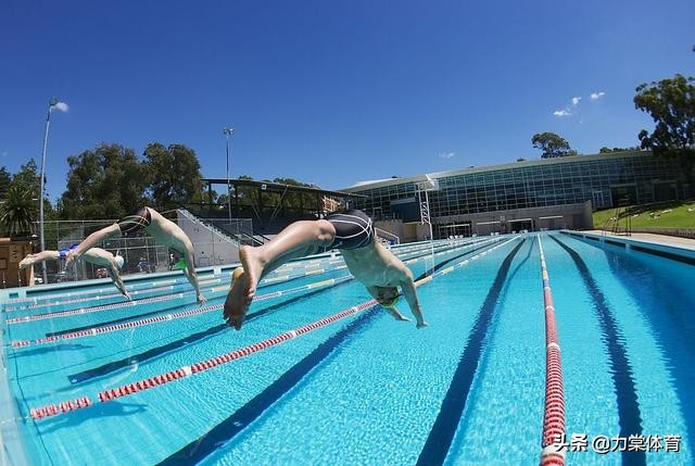 游泳能减肥哪里,游泳能减肥啊