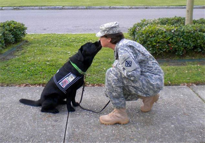 鐙楃嫍浜蹭富浜烘槸涓嶆槸鐙楃嫍鍠滄涓讳汉,鐙楃嫍浜蹭富浜烘槸鍦ㄨ〃杈剧埍鎰忓悧