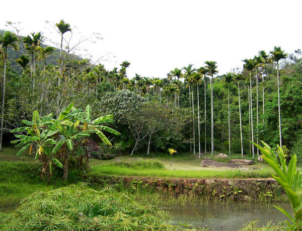 夏季的三亚美丽又浪漫,三亚北纬十八度天涯海角