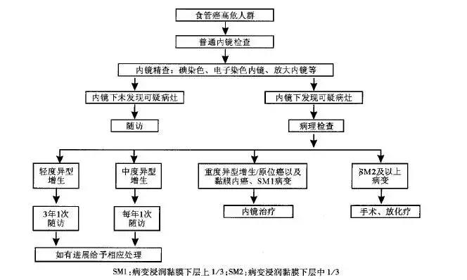 关于降压药,你或许还可以了解一下这些?