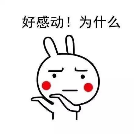 在日本销量第一品牌,资生堂口碑最好的4款