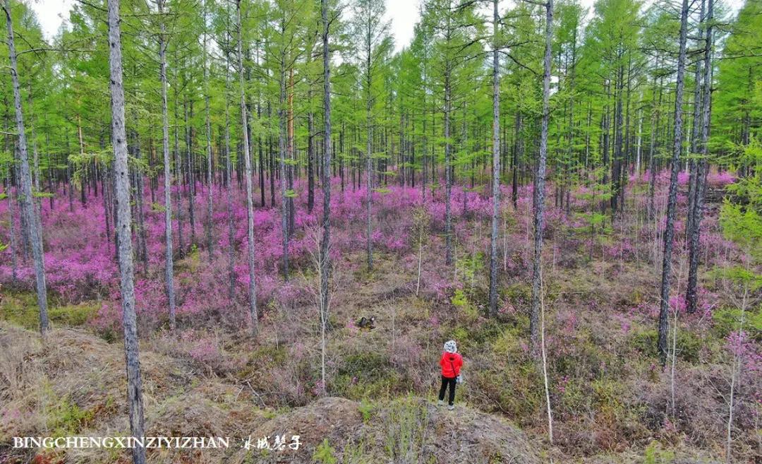寻找中国最美的春季,探寻中国最美秘境