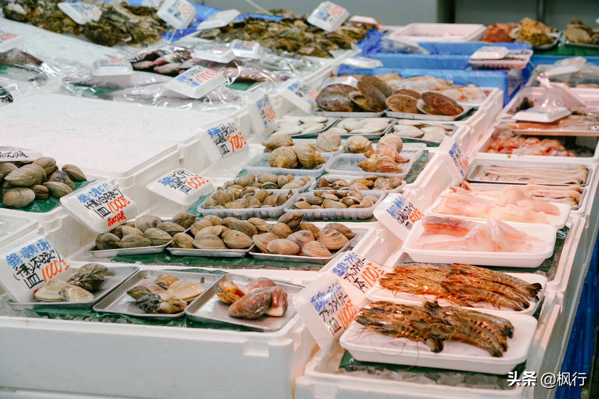 日本最正宗的海鲜市场,在日本吃海鲜的人