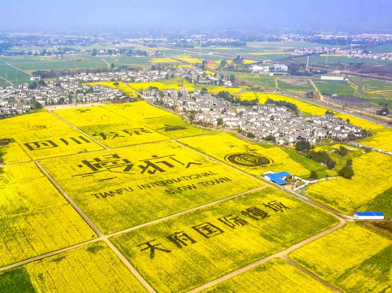 成都十大绿道旅游线路推荐,成都绿道最佳观赏地点