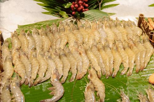 魔都海鲜自助餐厅排名,魔都周浦海鲜自助