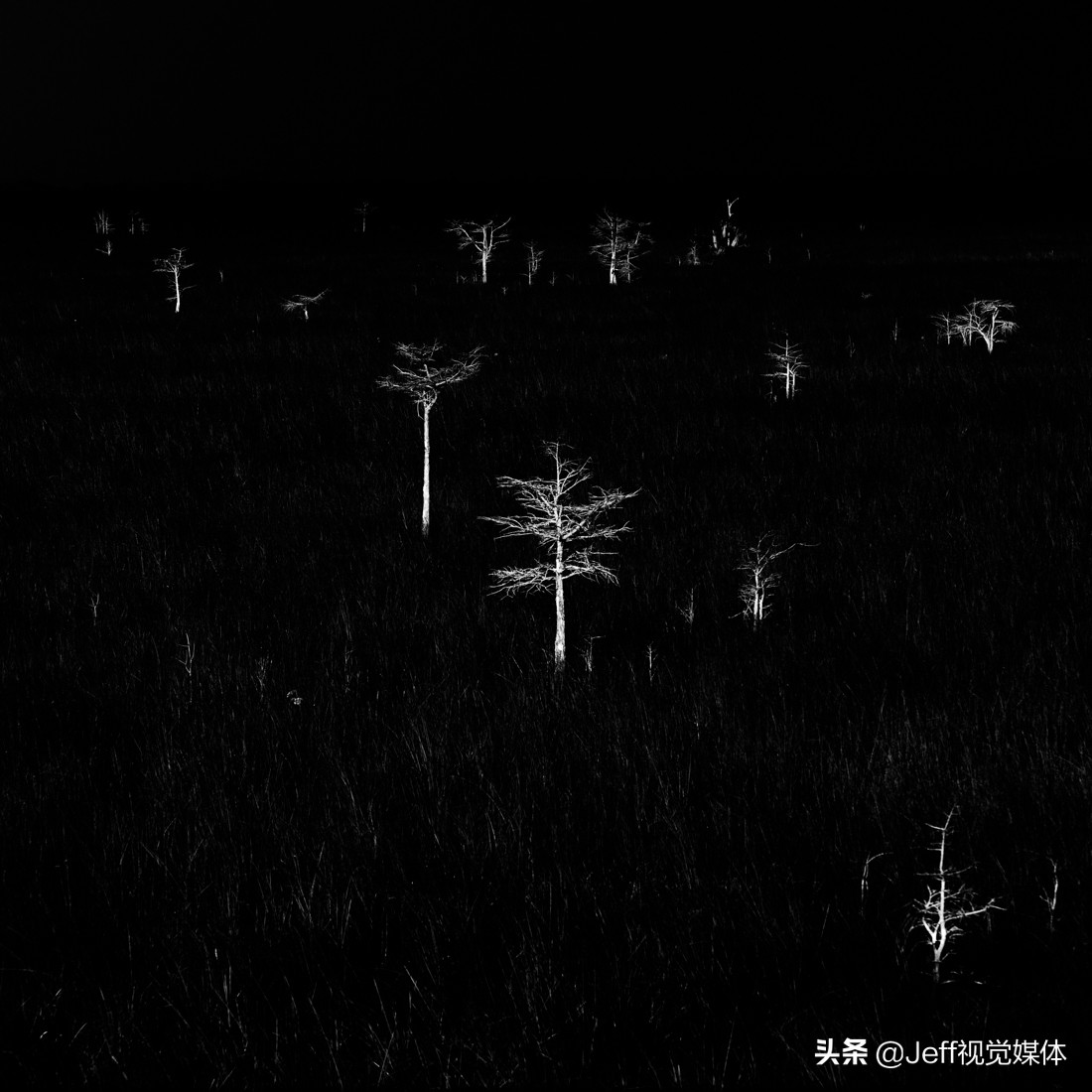 2020国际摄影大赛获奖图片,国际摄影大赛获奖作品风光摄影