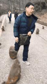 开心一刻gif搞笑动图,搞笑gif段子看起来能量满满