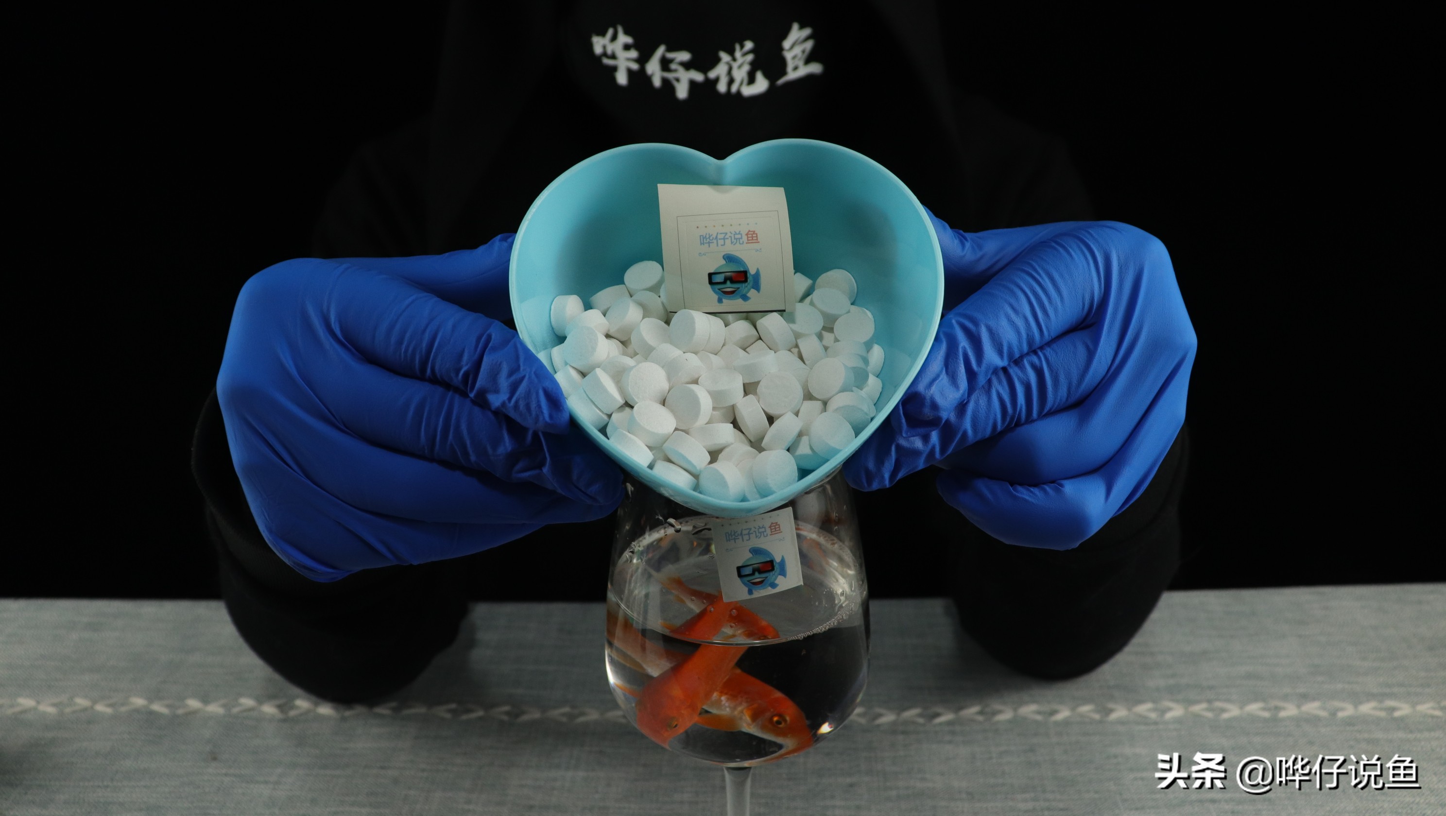 养鱼鱼缸消毒用什么最好,鱼缸养鱼要用什么消毒水