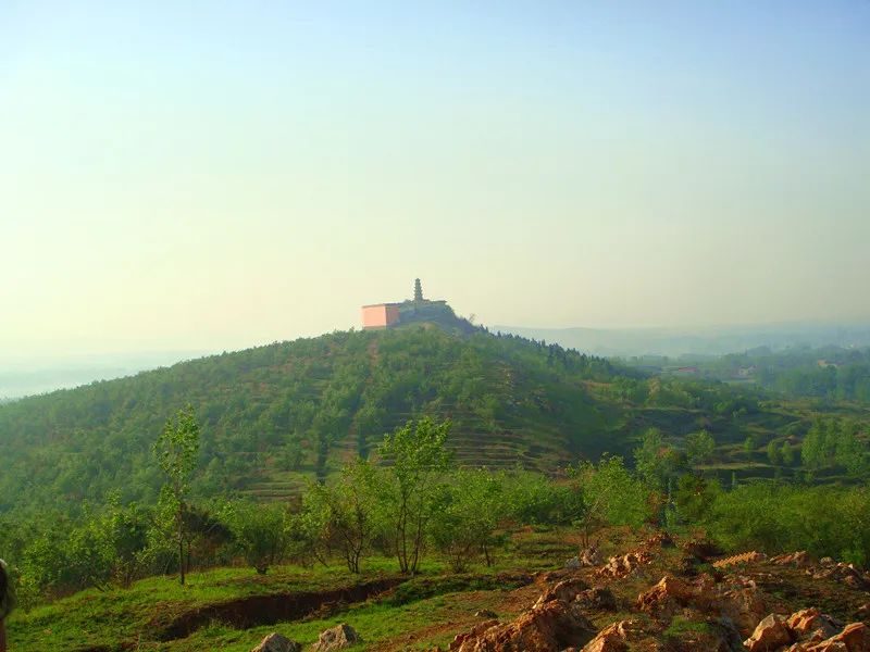 闲着木事儿，你来俺家玩儿呗