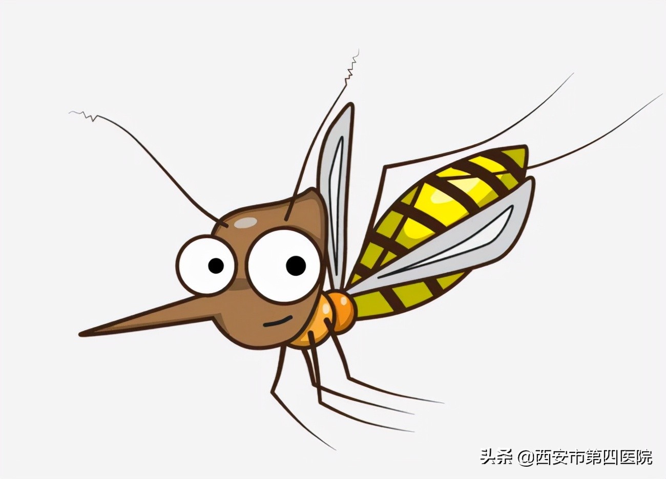 鎵撶槮鑴搁拡鎮勬倓鍙樼編,瀹夊績鍙樼編鐨勪汉閫傚悎鐦﹁劯閽堝悧