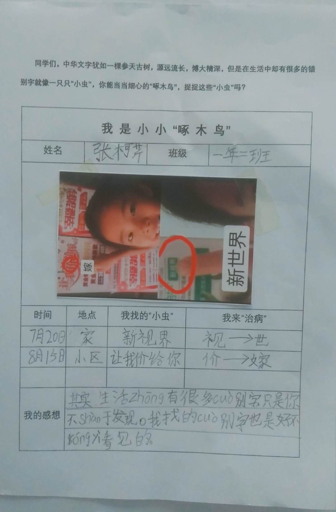 小学啄木鸟行动校外纠正错别字,啄木鸟找错别字实践活动