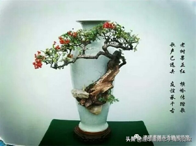 电影目录大汇聚（1970—1989）