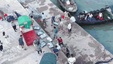 广东著名渔港开渔,广东开渔季节