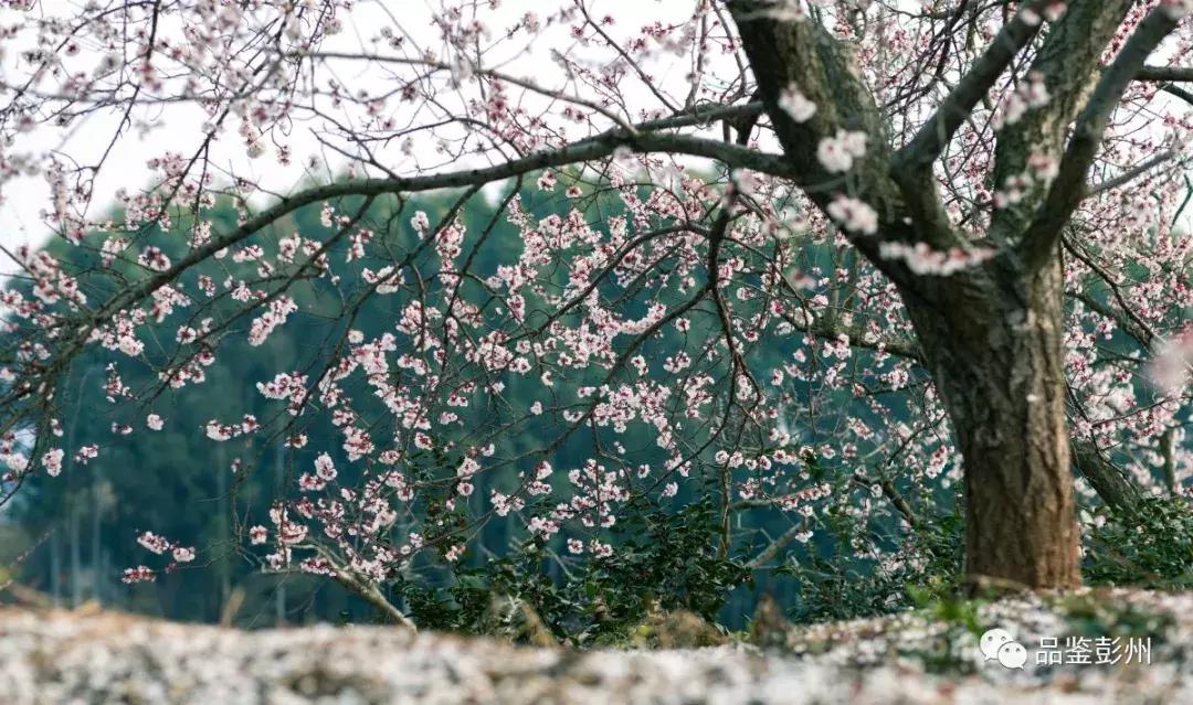铅山县葛仙山,去葛仙山攻略