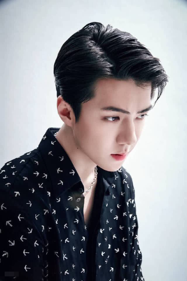 南韩颜霸朴灿烈凭exo出道火遍亚洲,韩国爱豆lisa有多卑微