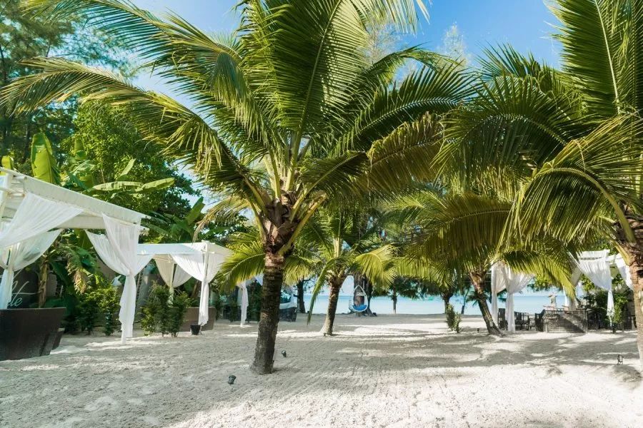 初夏海边旅行攻略,初夏自驾一日游