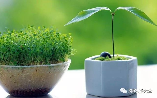 利润很吓人10个冷门创业项目摆摊,利润很吓人10个冷门创业项目养殖