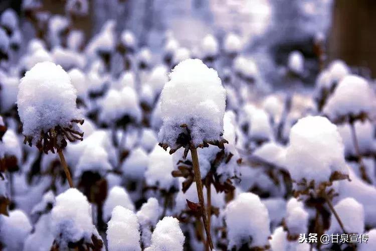 延安2019年第一次下雪是什么时候,延安初雪的时候