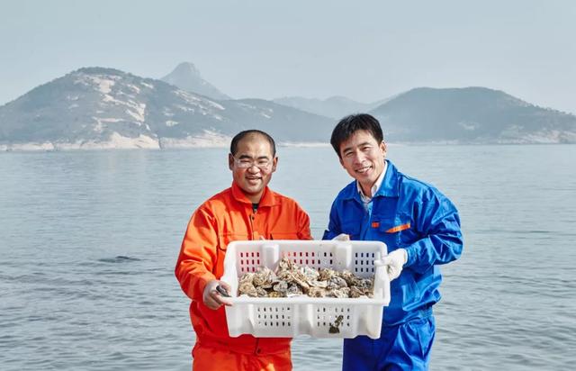 乳山生蚝也许是性价比最高的生蚝,正宗乳山生蚝上市了来尝鲜