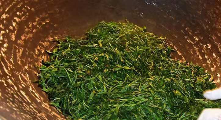 东莞普洱库存40万吨,东莞30万吨普洱茶