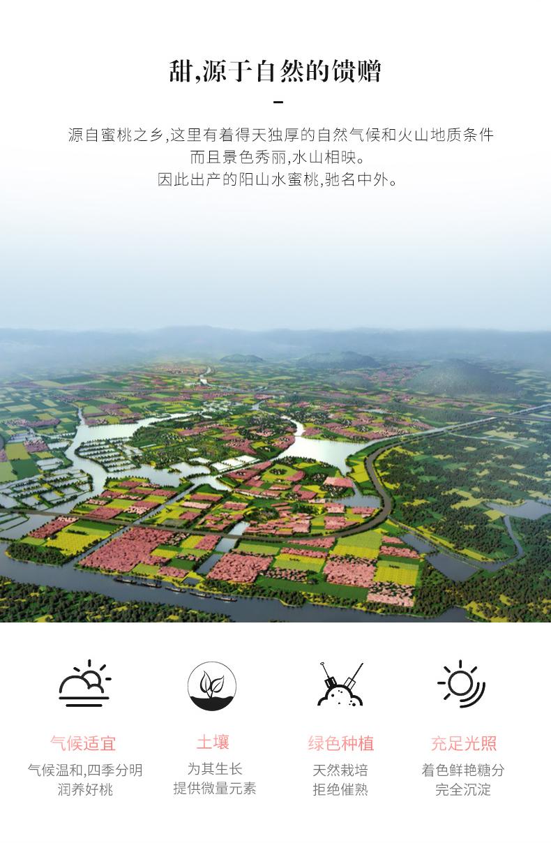 水蜜桃怎样挑选,如何挑选水蜜桃