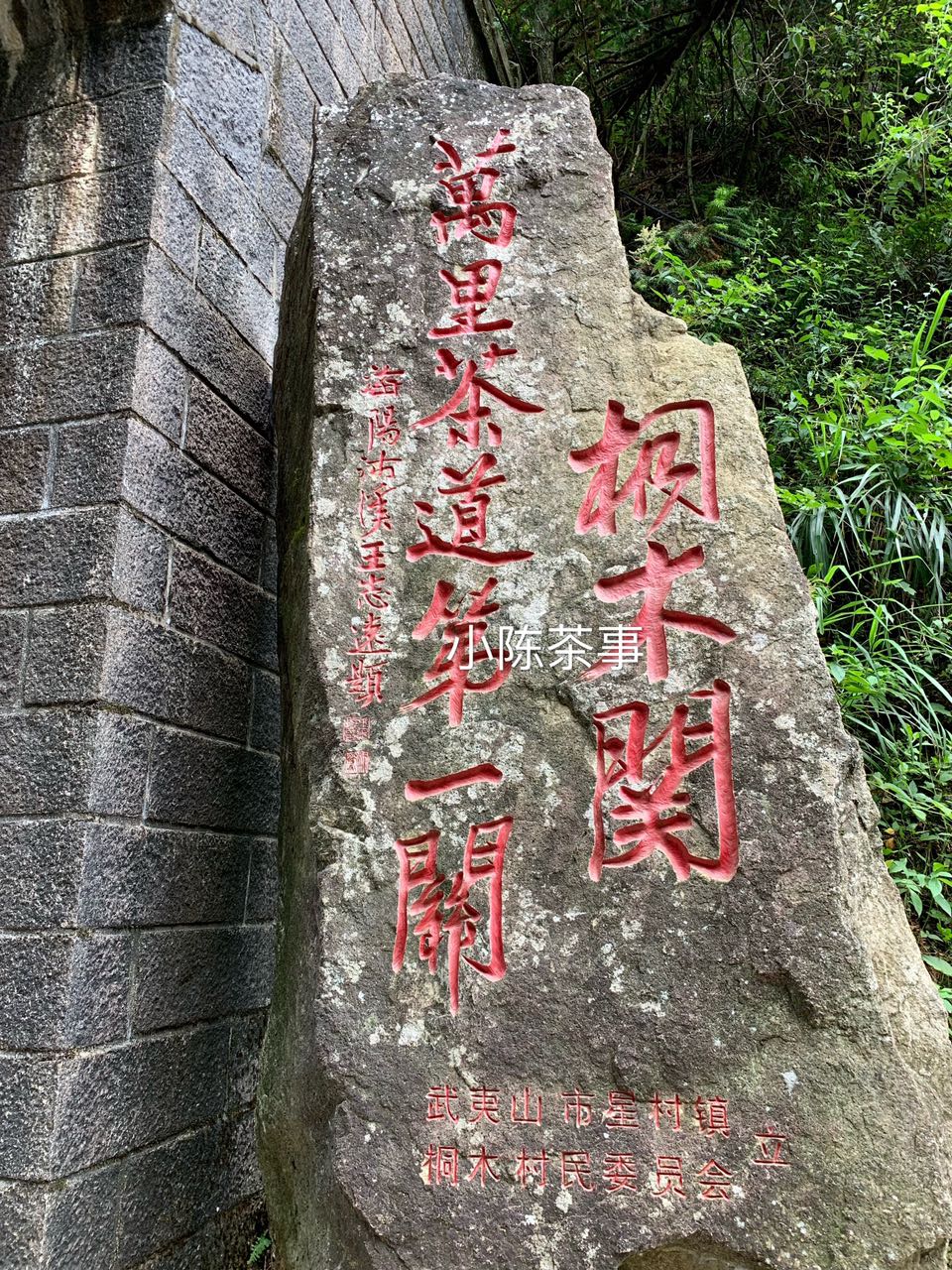 假红茶金骏眉,金骏眉红茶打假