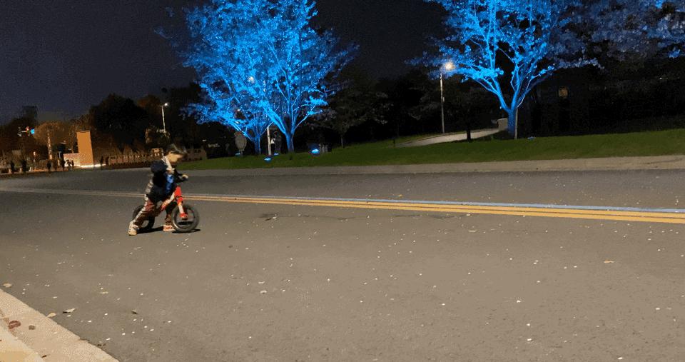 南京的小众景点非常适合一个人去,南京充满森林的公园