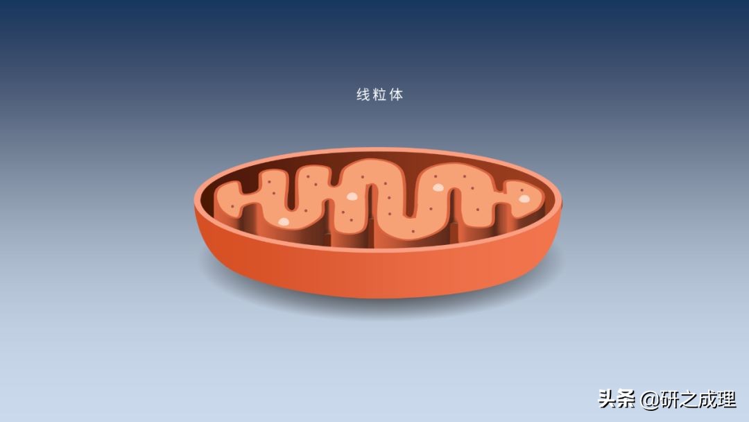 3d晶体科研绘图ppt,用ppt做3d科研图